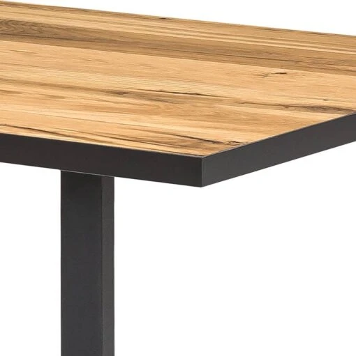 Table Ironwood -Mobilier De Maison 1000213208 200512 14001000007 DETAILS P000000001000213208