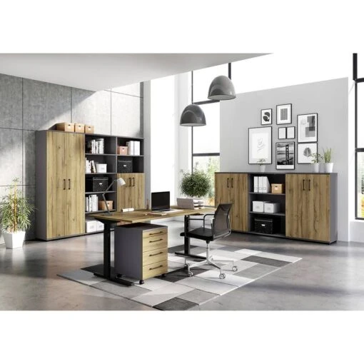 Armoire De Bureau GW-Profi 2.0 II -Mobilier De Maison 1000222872 200821 11194400062 MOOD DETAILS P000000001000222872 mood