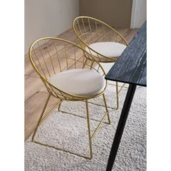 Chaises Ceza (lot De 2) -Mobilier De Maison 1000281746 230104 031 DETAILS P000000001000281746