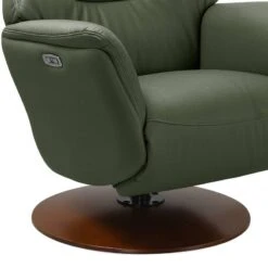 Fauteuil Relax Austen -Mobilier De Maison 1000283512 220304 031 DETAILS P000000001000283512