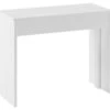 Console Extensible Jusqu'à 300cm Blanc -Mobilier De Maison 2d2d33d8cfbd4bc3a8a3bed0325af804.cropped 122 161 790 717.processed