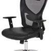 Fauteuil De Bureau Atlanta -Mobilier De Maison 3a05fa1634f94193b4925c2c270b0e10.cropped 587 24 1389 2536.processed