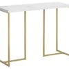 Table Console FSB58-G -Mobilier De Maison 47d4f94edbf6486dad782ee831e3d571.cropped 124 259 1355 1155.processed