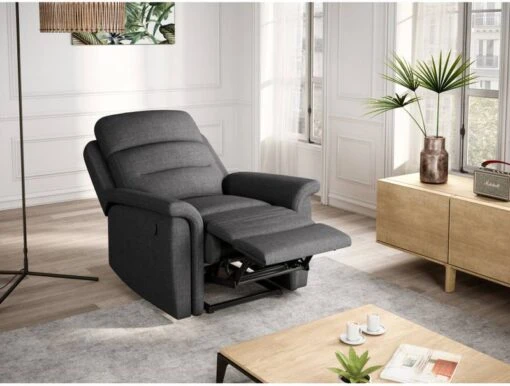 Fauteuil De Relaxation LÉON -Mobilier De Maison a1ad3499808944babaca6e8cc8457841