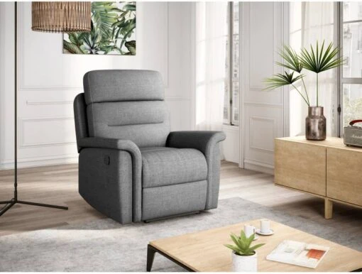 Fauteuil De Relaxation LÉON -Mobilier De Maison d698d1a4ff6541ef9f9c56eb0444fd41