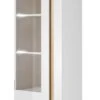 Armoire Vitrine ARCO 60W LED -Mobilier De Maison e4539d0a392944cca41ed9d12f4ea96a.cropped 429 290 1834 3855.processed