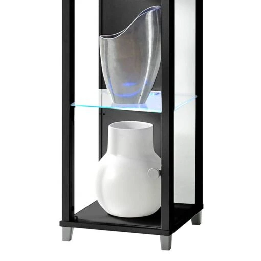 Vitrine Winnipeg I -Mobilier De Maison vitrine winnipeg i mit led beleuchtung klarglas schwarz 253885